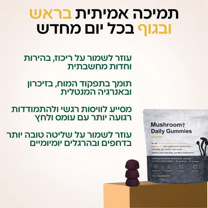 גומי יומי לתפקוד המוח