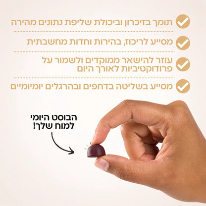 גומי יומי לתפקוד המוח