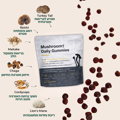 גומי יומי לתפקוד המוח